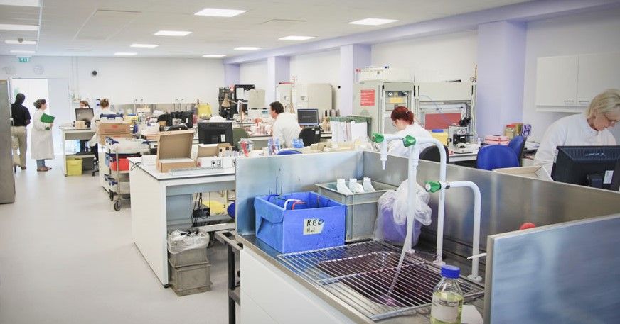 UK researchers win funding for grass pea project in Sub-Saharan Africa
