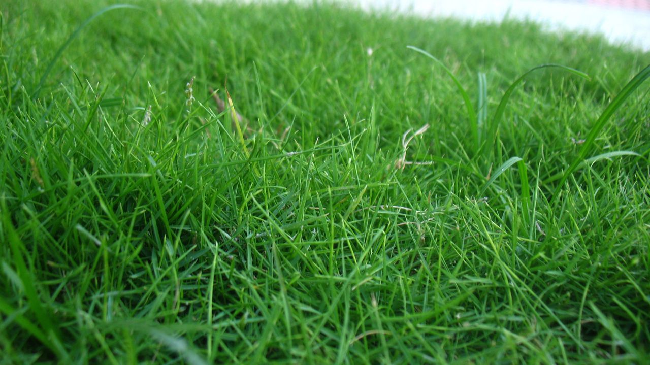 Plant protection product given approval for UK use in record time