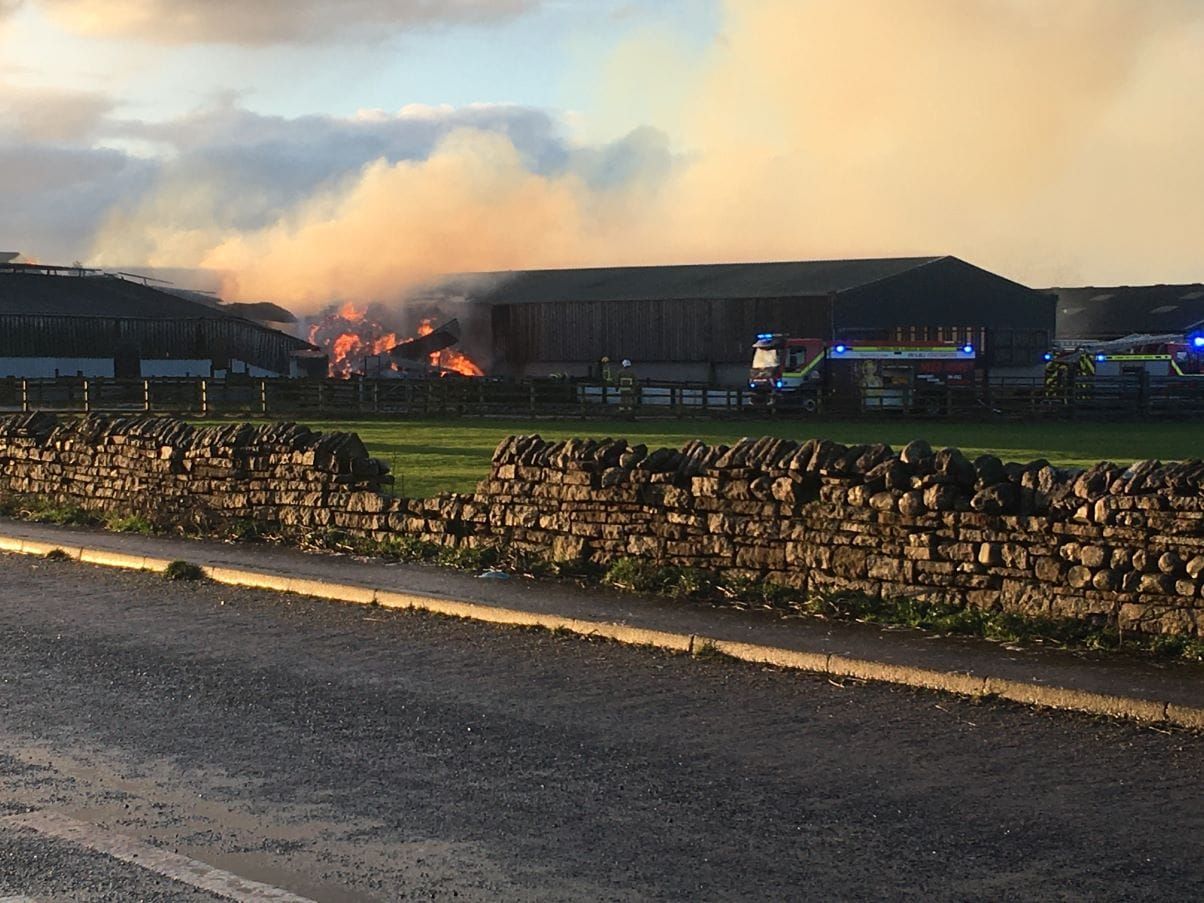 160 cows evacuated to safety after barn catches fire in Cumbria