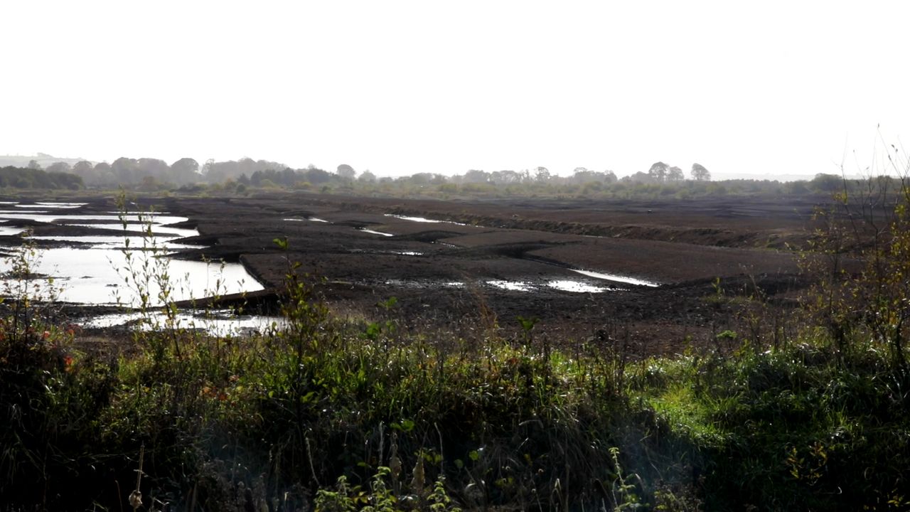 Report: Peatlands could reduce GHG emissions by 800m tonnes per year