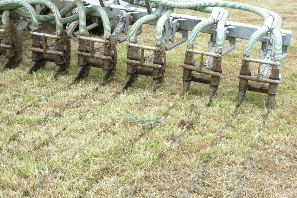 Online seminar series to examine the science behind NI’s ammonia woes