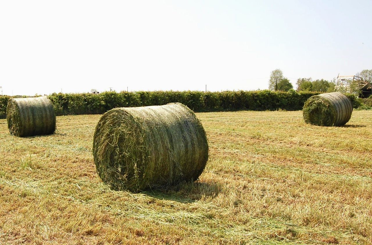 Opinion: Chequered flag dropped on 2023 silage season