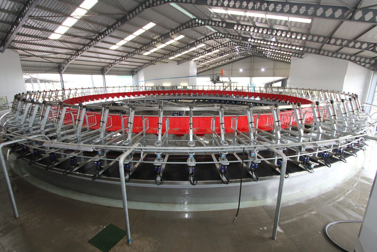 New Zealand company launch rotary dairy platform in Ireland and the UK