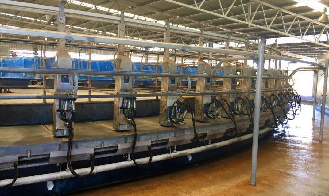 Oz dairy farmers welcome move to address retail pricing