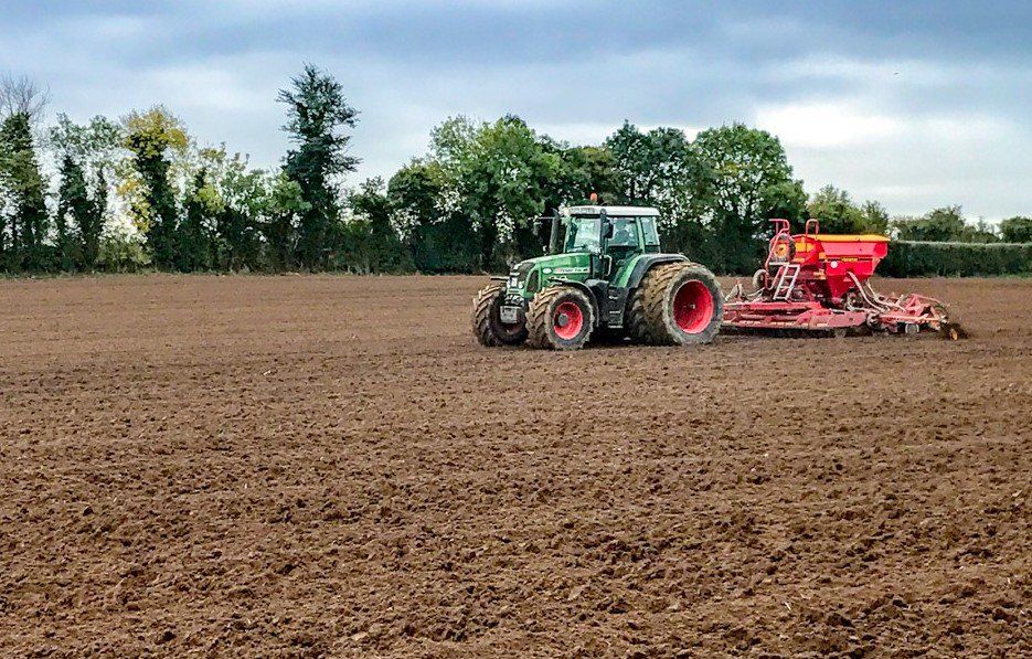 Popular cereal seed varieties in short supply