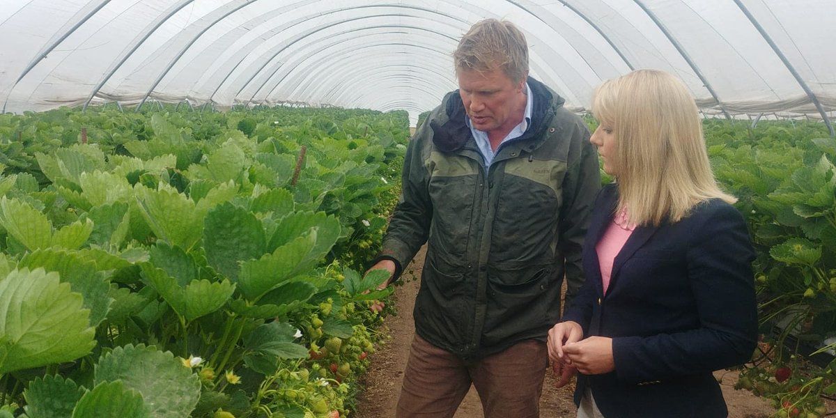 MPs see first-hand 'appalling waste' on Scotland's fields of rotting fruit