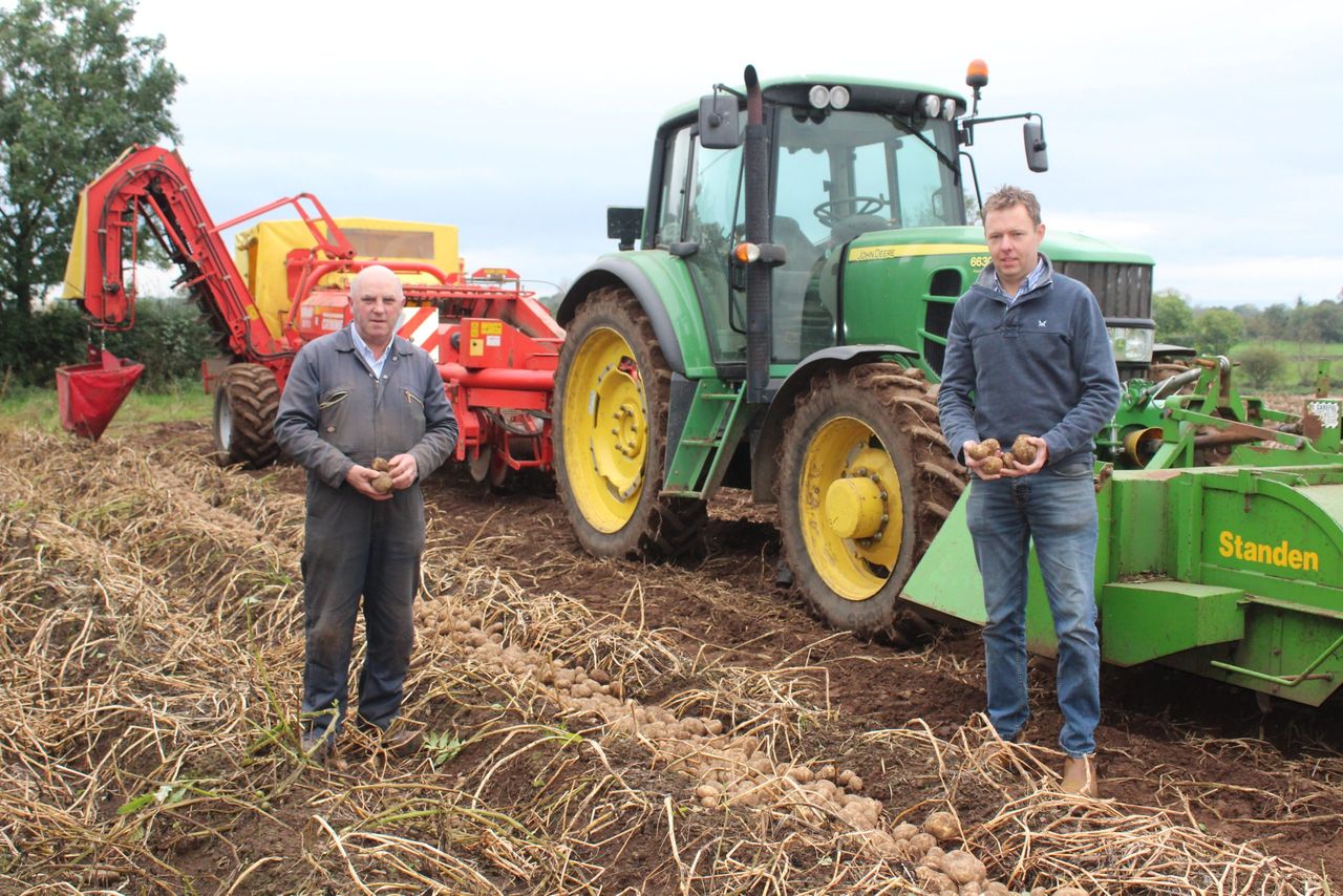 Maincrop potato harvest: Significant variation in yields reported