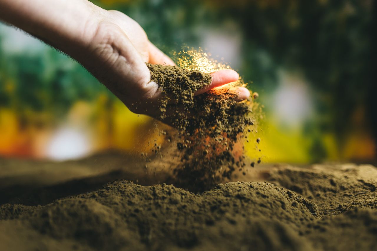 Origin Enterprises acquires two ecology businesses