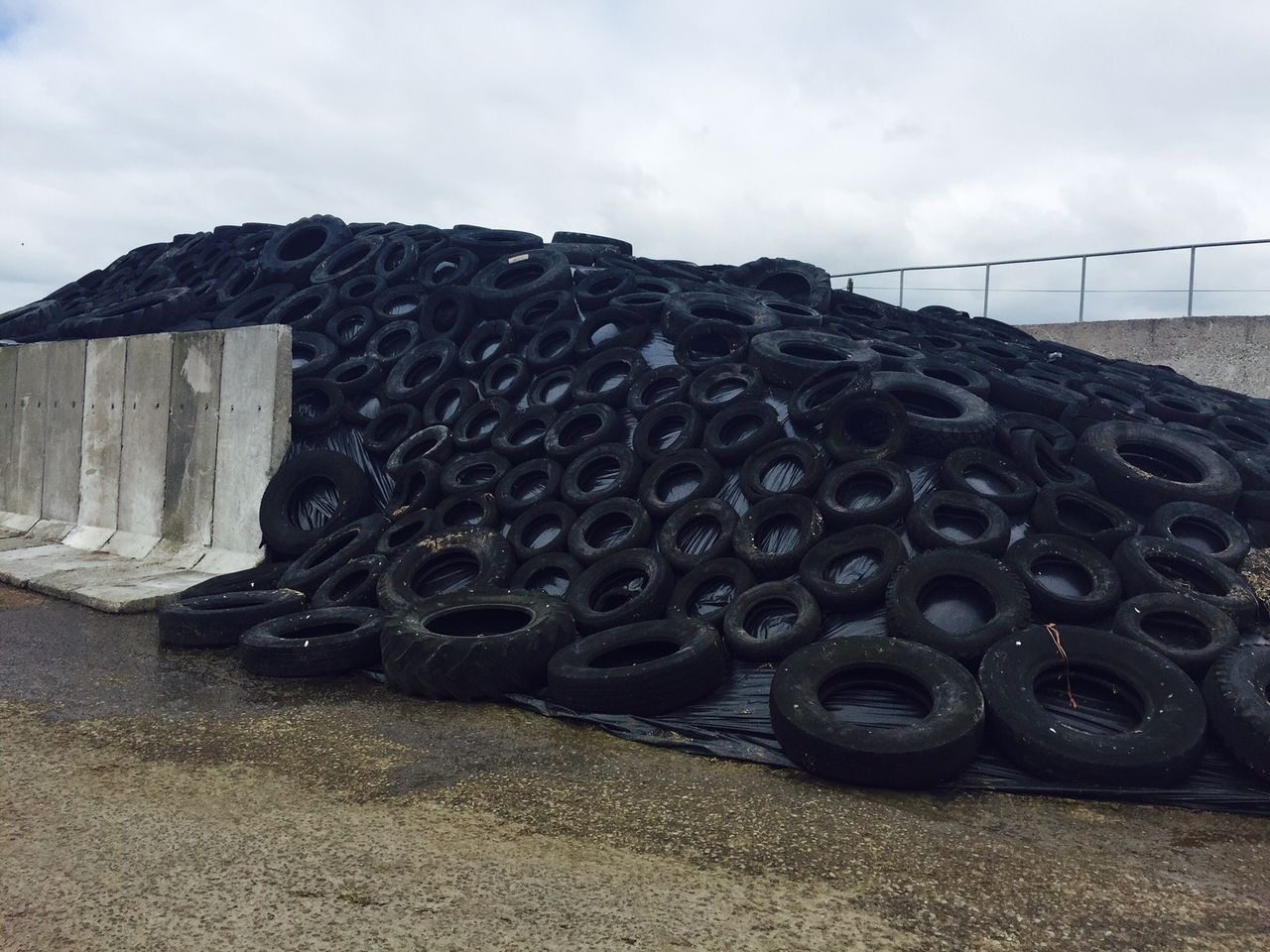 Have you enough silage to get you through the winter?