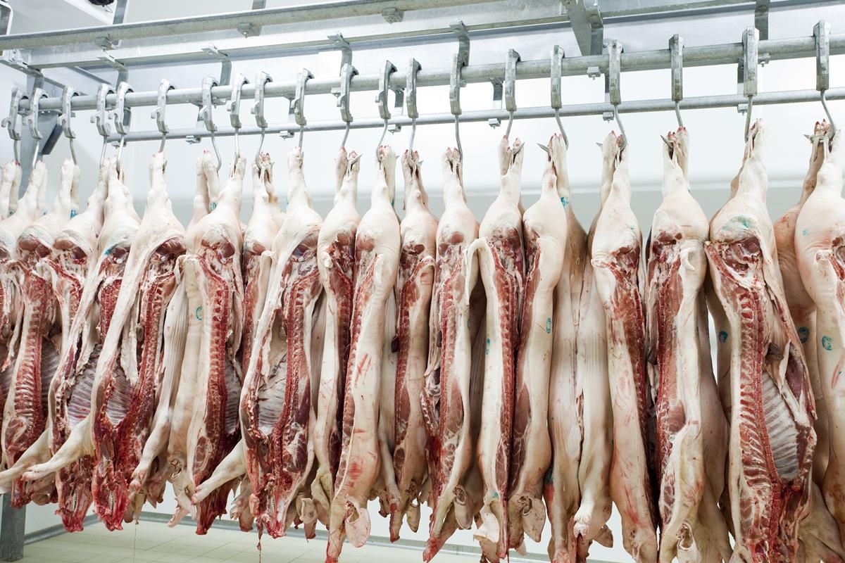 No signs of Chinese pork import demand slowing as prices remain high