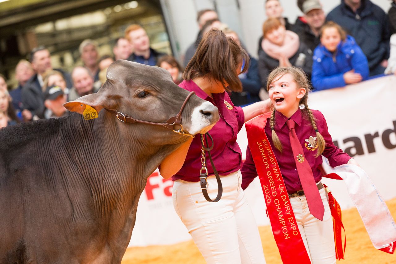 Borderway Dairy Expo returns with an all-female judging panel