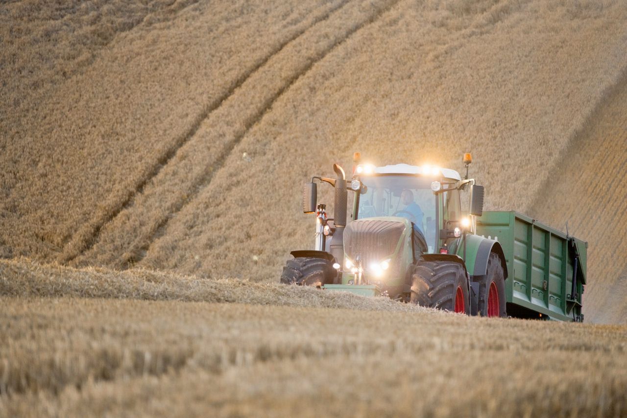 Wheat prices continue to rise amid global production challenges