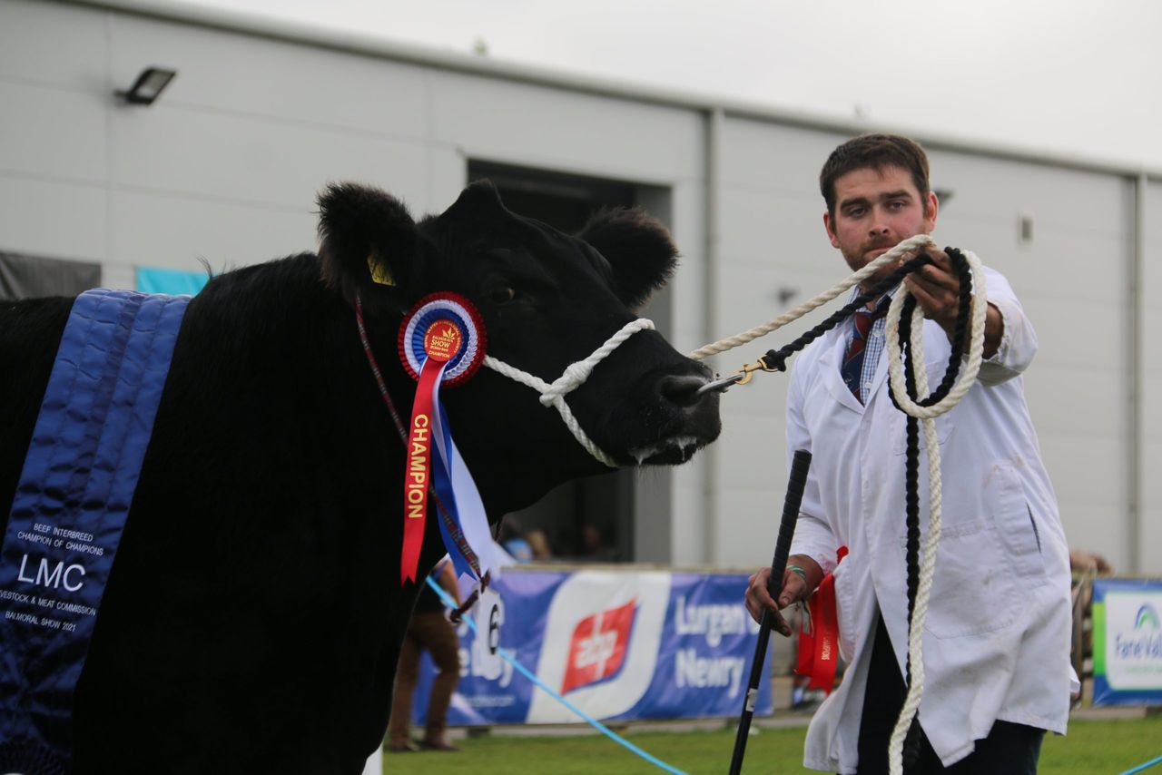 Angus cow-calf duo clinches Balmoral interbreed in ‘maternal masterclass’