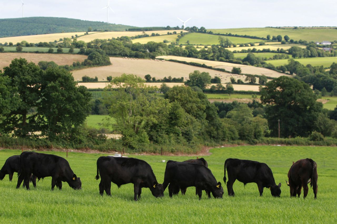 Farming orgs welcome Windsor Framework but raise concerns