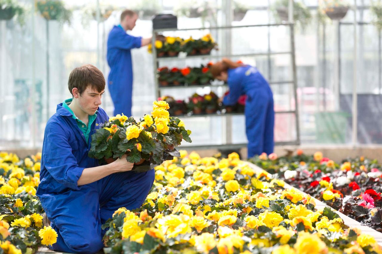 Agricultural college to hold open day for upcoming courses
