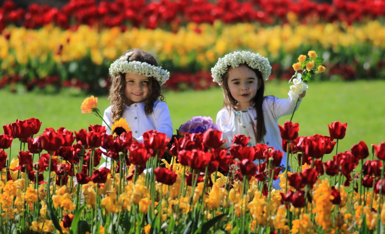 1916, Tarzan and mental health-themed gardens to feature at Bloom