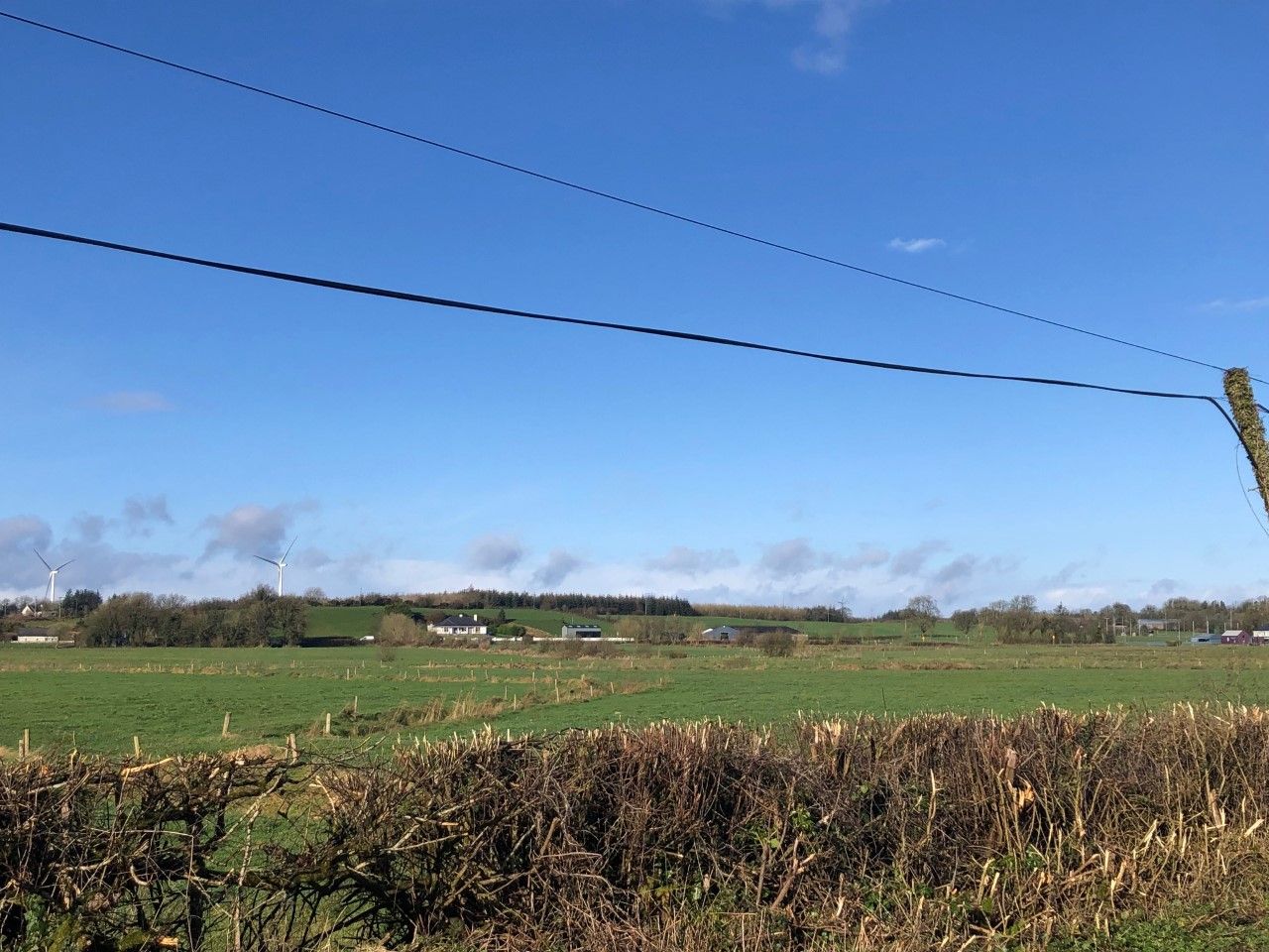 Hedgerows should be included in 10% SFS woodland requirement - GWCT