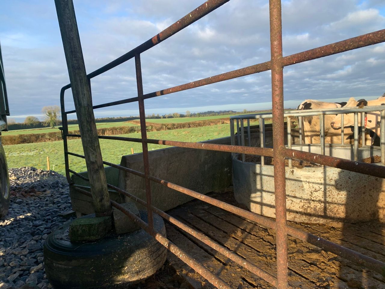 PSNI issues appeal over theft of 15 cattle in Co. Fermanagh