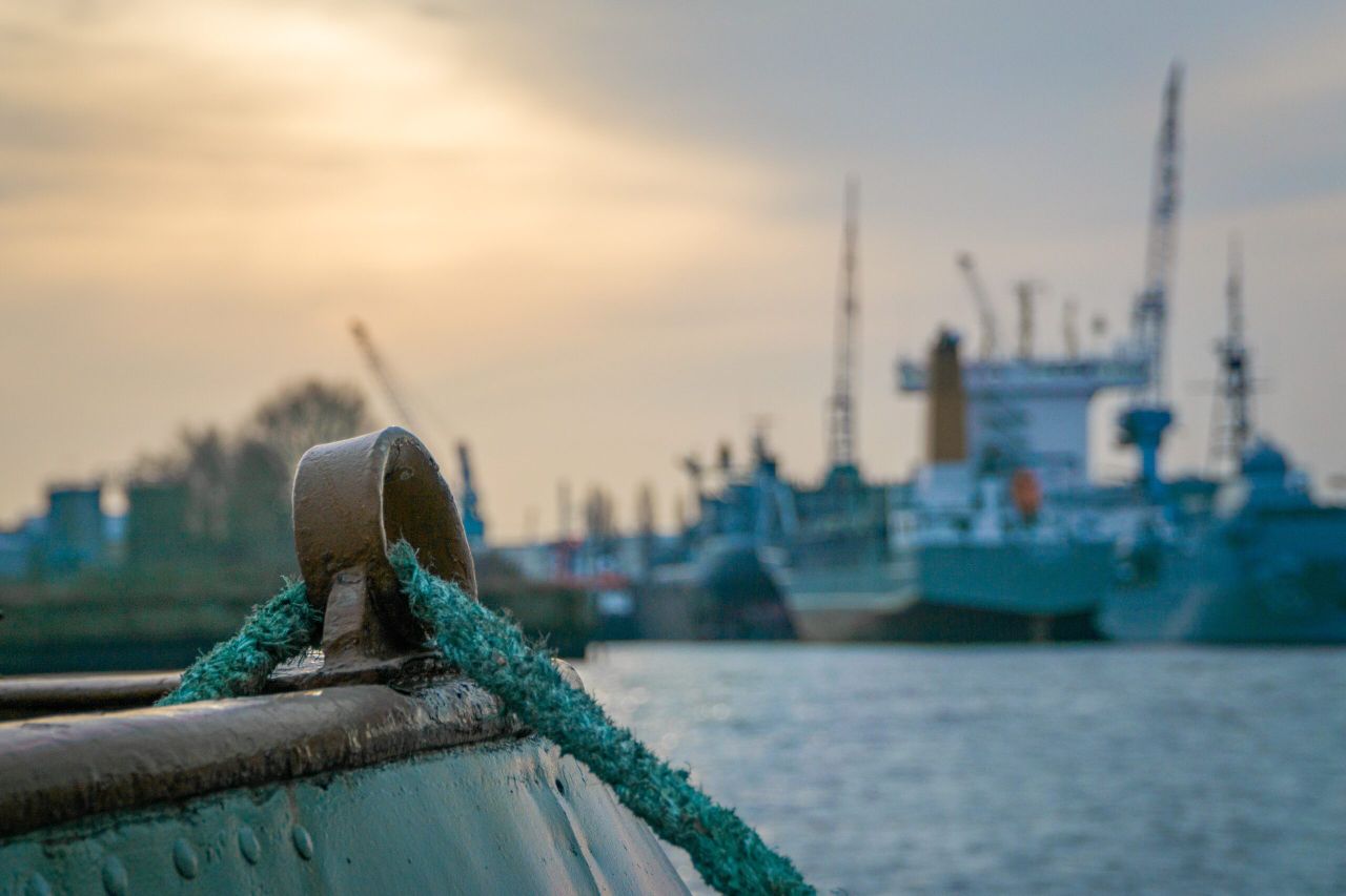 Search underway for 42 crew after cattle ship capsizes in East China Sea