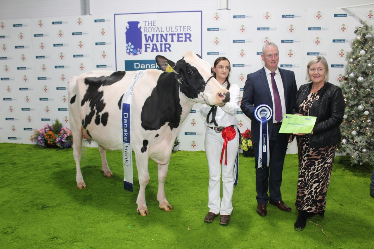 RUAS to host emergency bluetongue meeting on Winter Fair