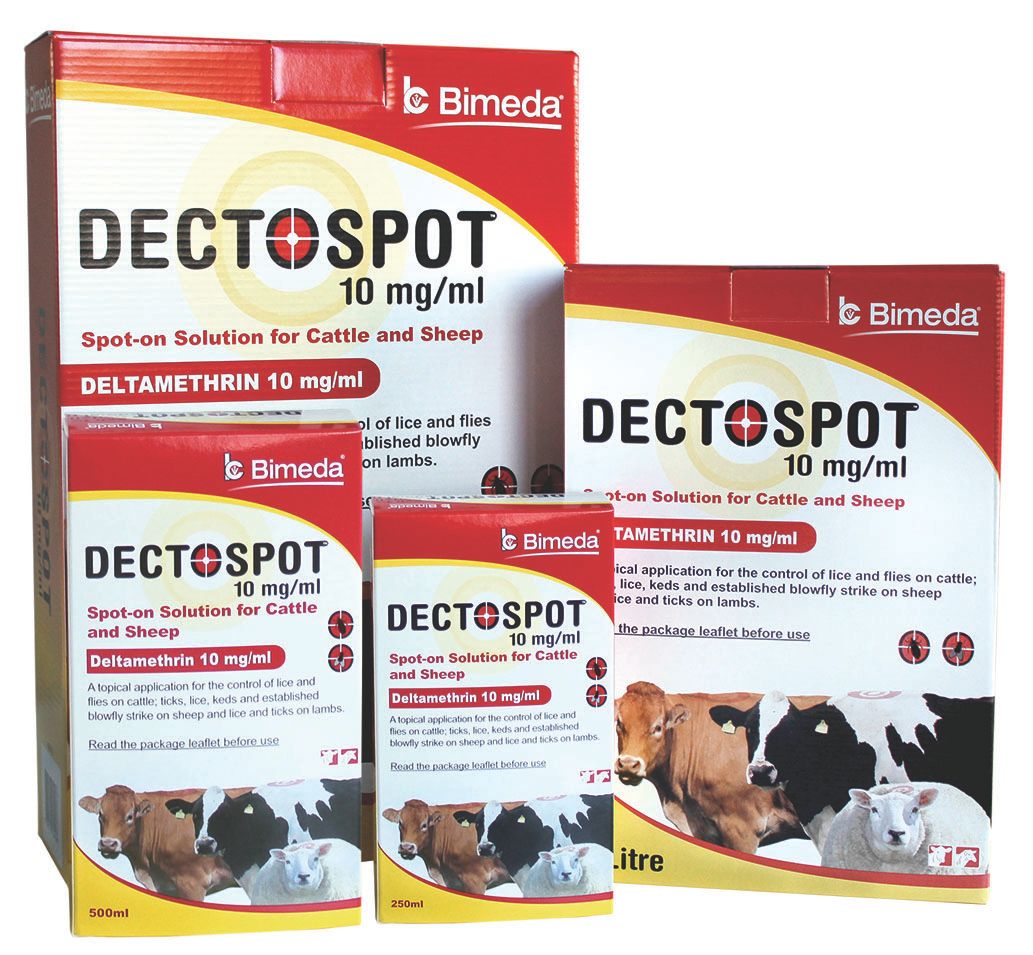 Bimeda launches new lice spot-on treatment for cattle and sheep