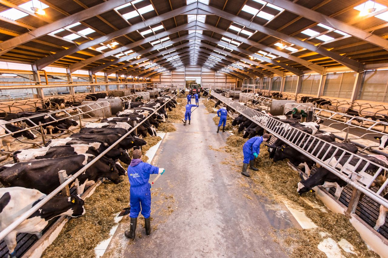 CAFRE’s Agricultural Business Operations course opens for enrolments