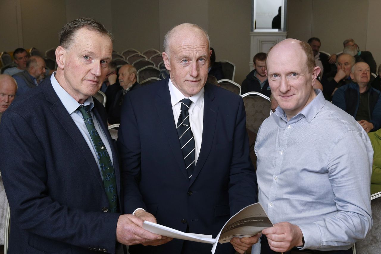 FFA: TB proposals could decimate NI cattle industry