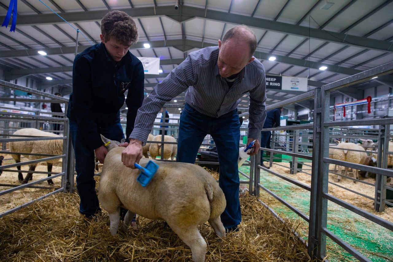 Entries open for second Premier Beef & Lamb Championships