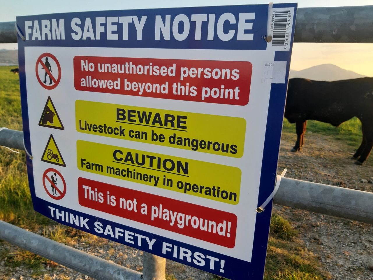 Farm safety survey: 75% of NI farmers fear being hit by an animal