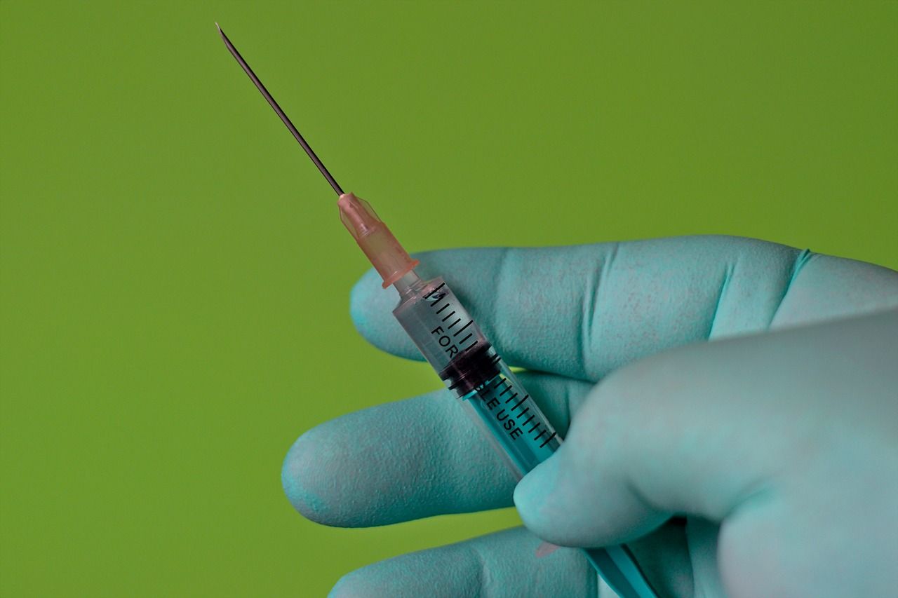 NI vets urge UK government to clarify access to medicines – BVA