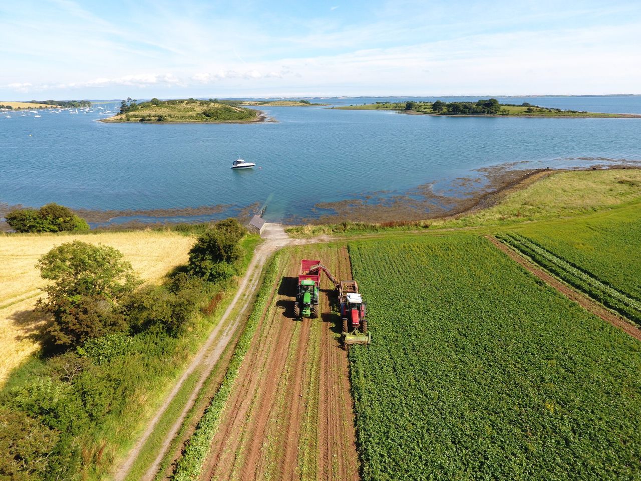 Former NFU president to lead farm profitability review