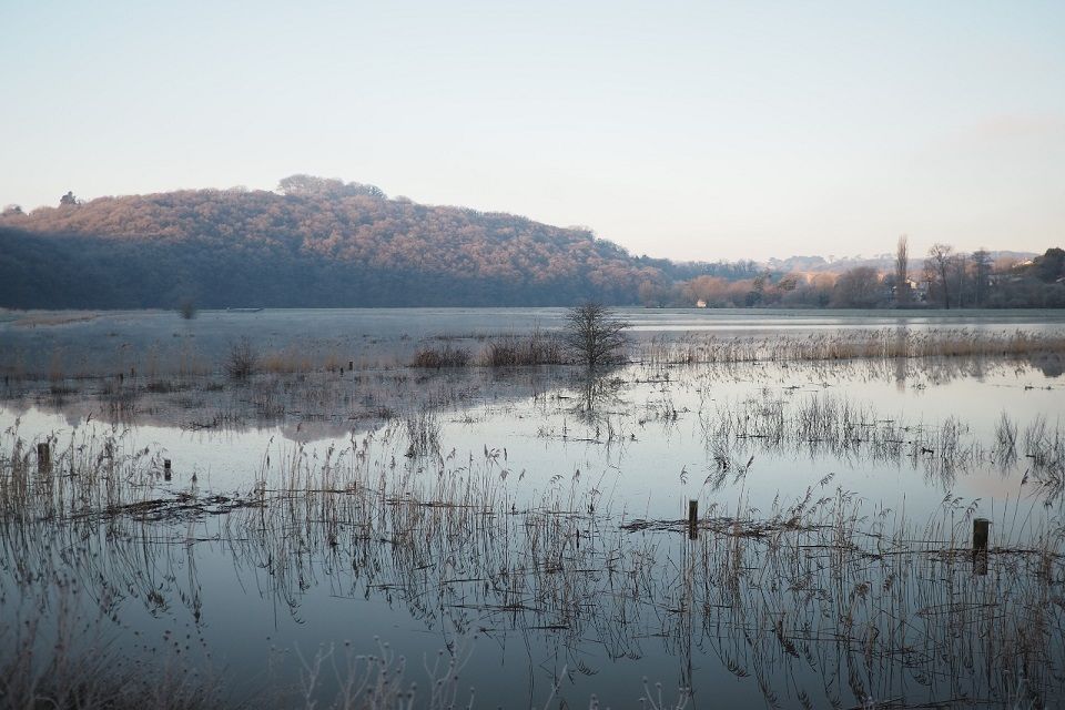 Countryside Stewardship granted to Calstock wetlands