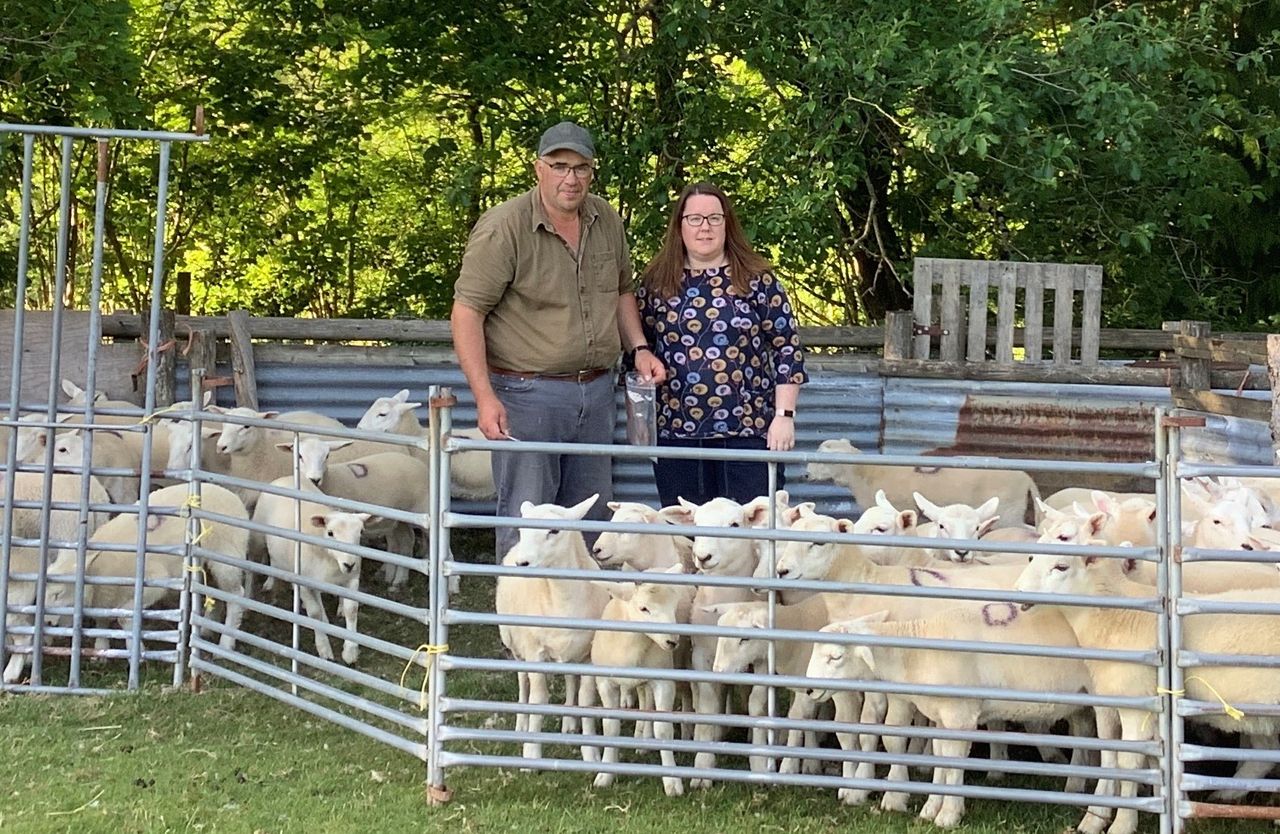 Welsh farmers testing the way for effective worming treatments