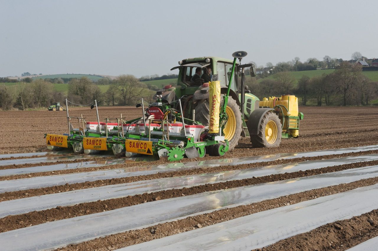 Feed price volatility is here to stay says industry expert