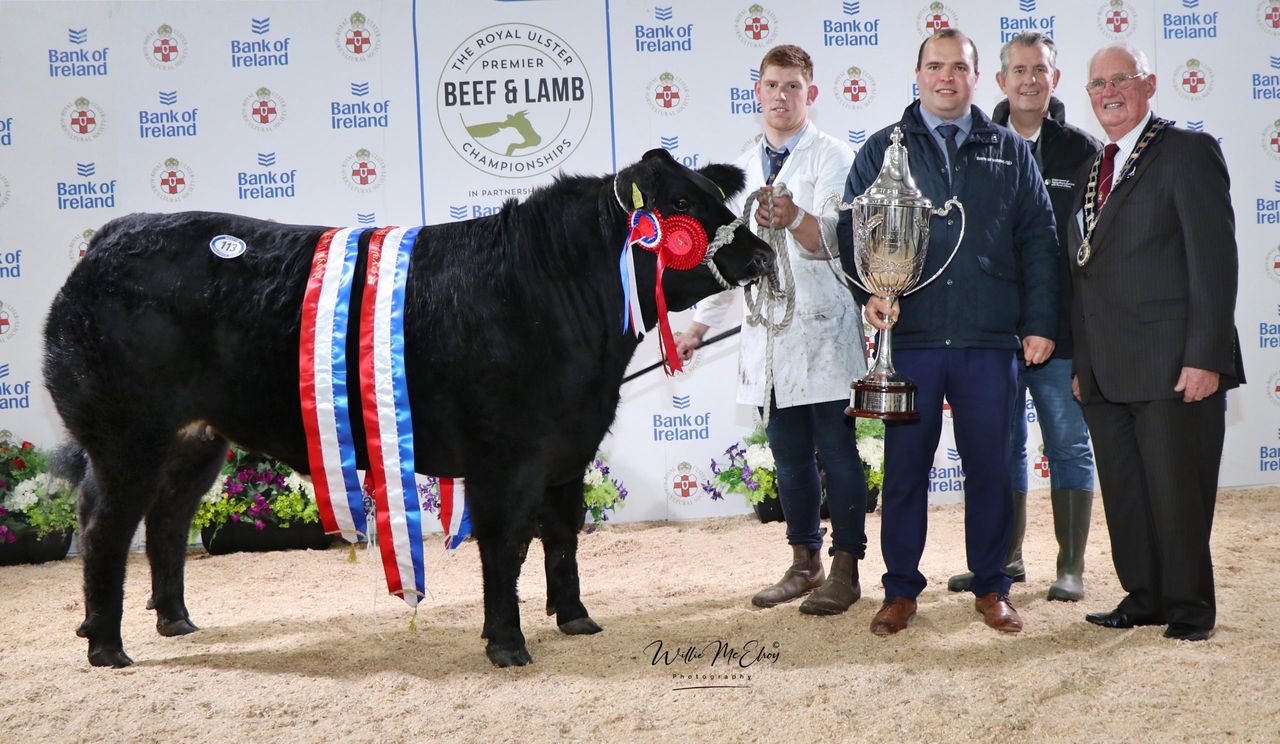 Major prices paid at Royal Ulster Beef and Lamb Championships