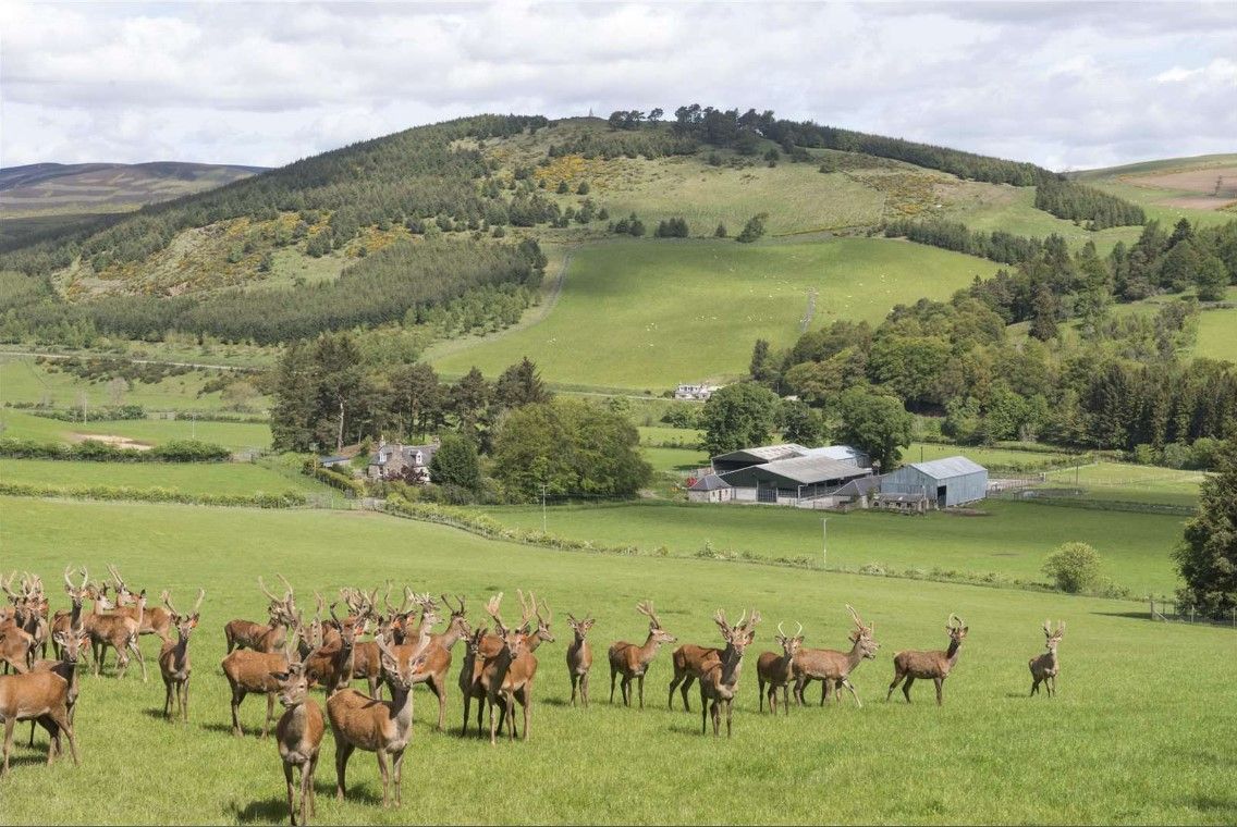 Highly regarded farming estate on the market...with a deer enterprise