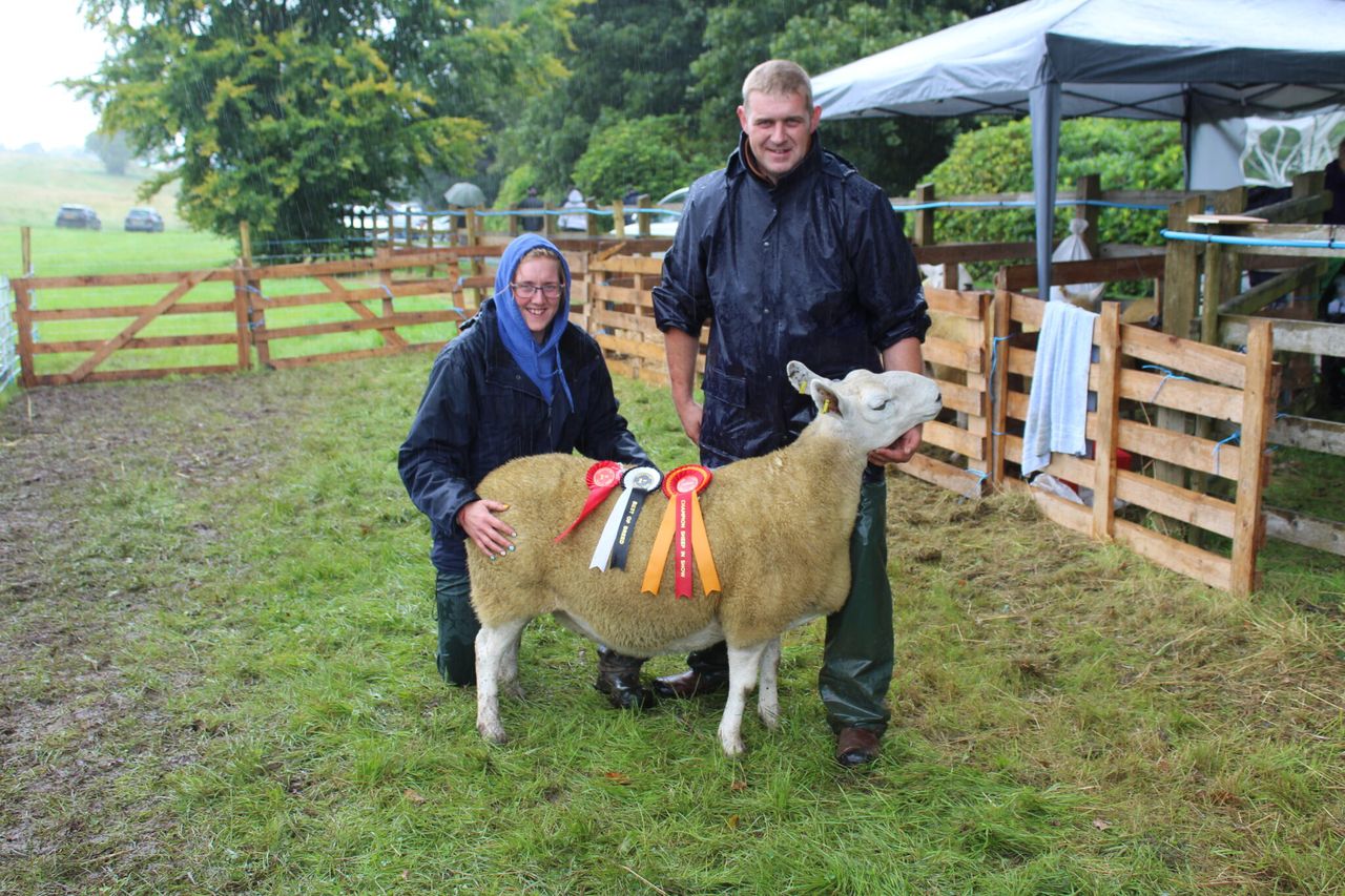 Record turnout of sheep at Fermanagh Show
