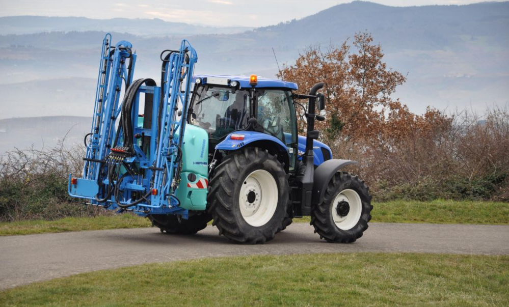 Weed control: When is the best time to spray for best results?