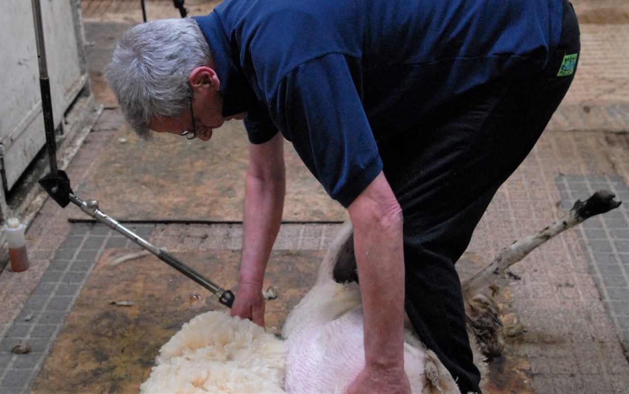 British Wool shearing manager retires after 20 years