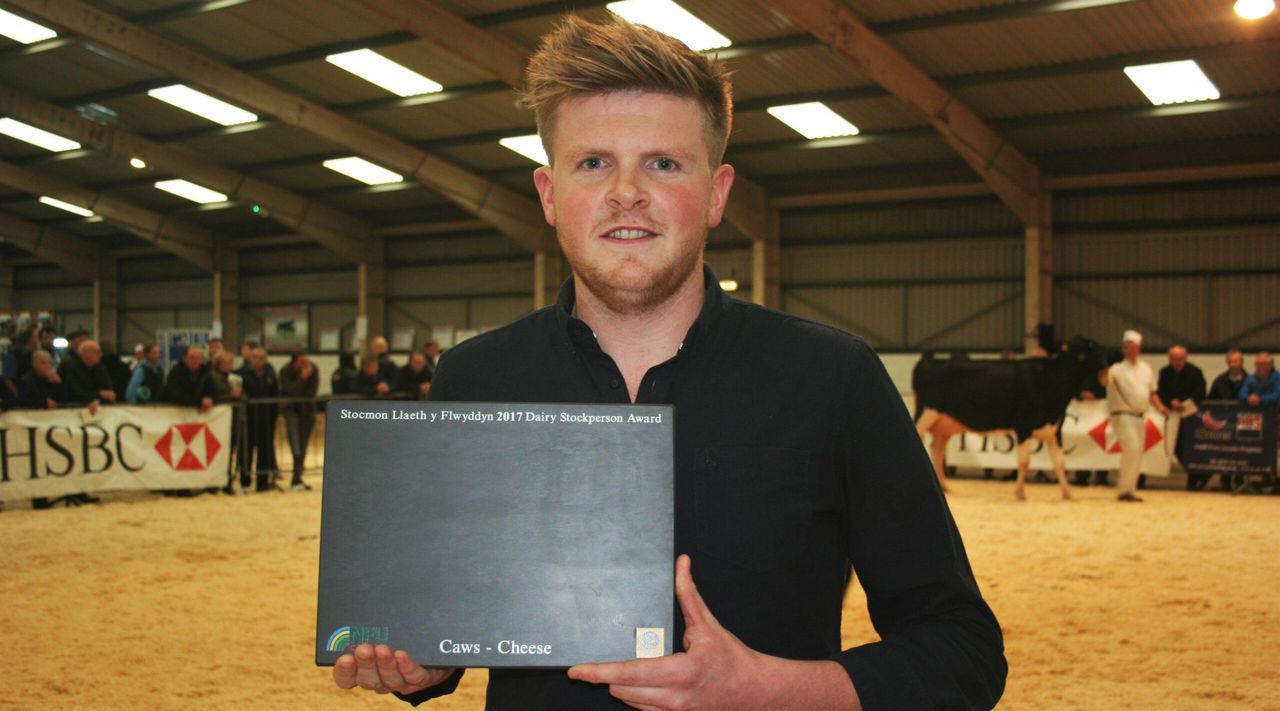 Search is on for Welsh Dairy Stockman of the Year