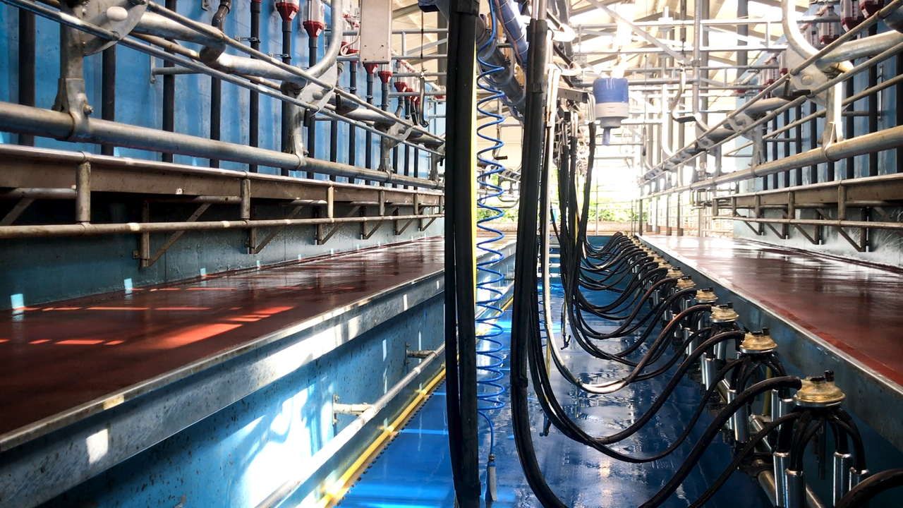 Milking parlour: Is it time to change your liners?