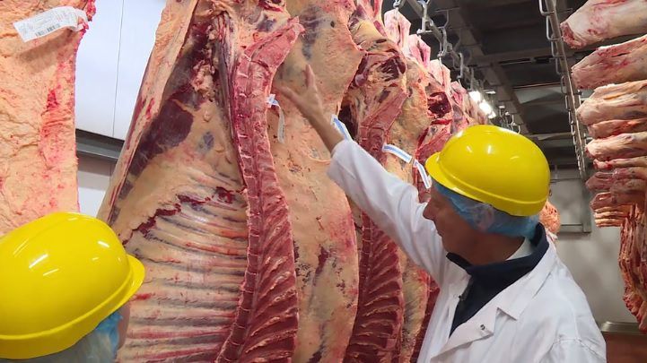 Call for NI farmers to ‘stand firm’ against abattoirs on beef prices