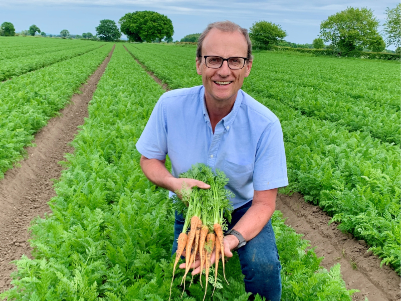 Decrease in growers of UK's favourite vegetable due to tight margins