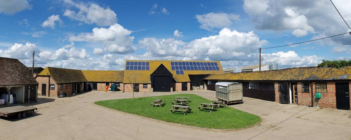 FAI Farms appoints new director and COO