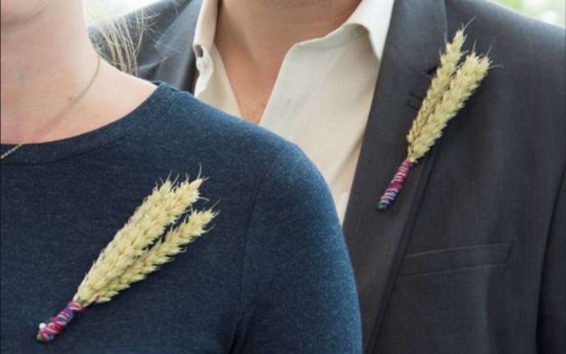 Westminster joins NFU to Back British Farming
