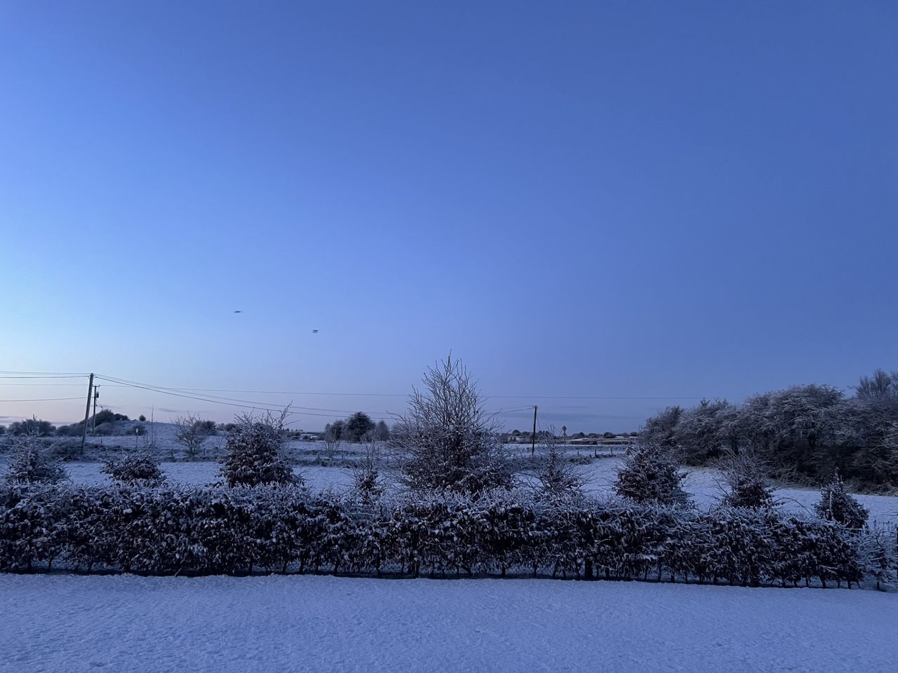 Frosty conditions impact livestock sales across Ireland