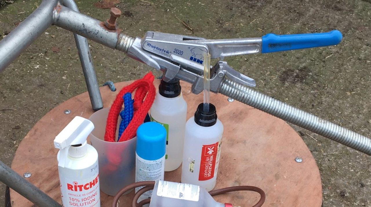 Spring calving on suckler farms: Preparation is key