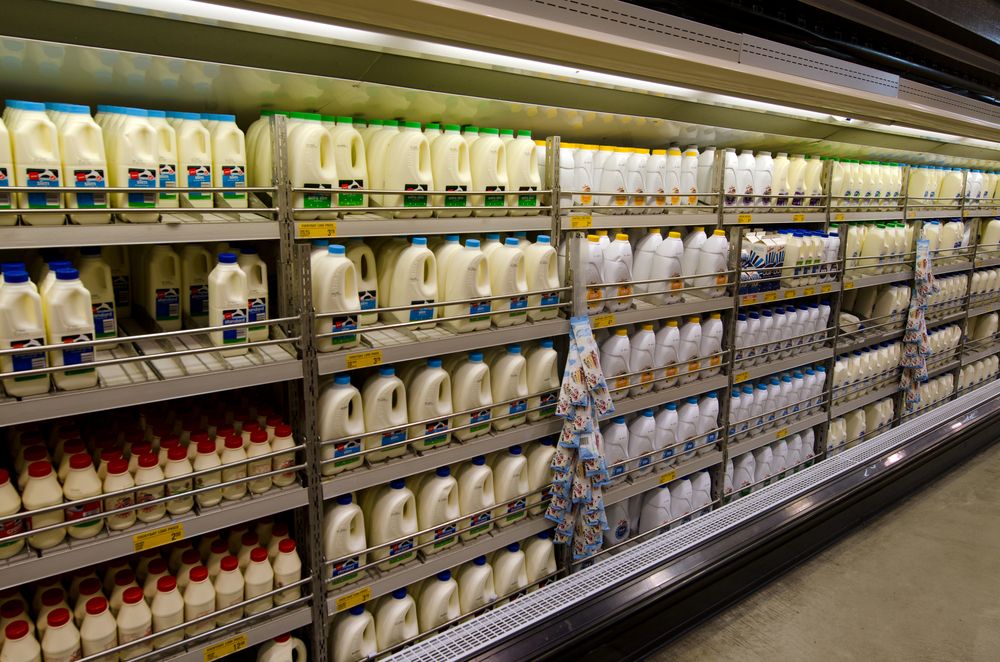 What Ireland can learn from Fonterra