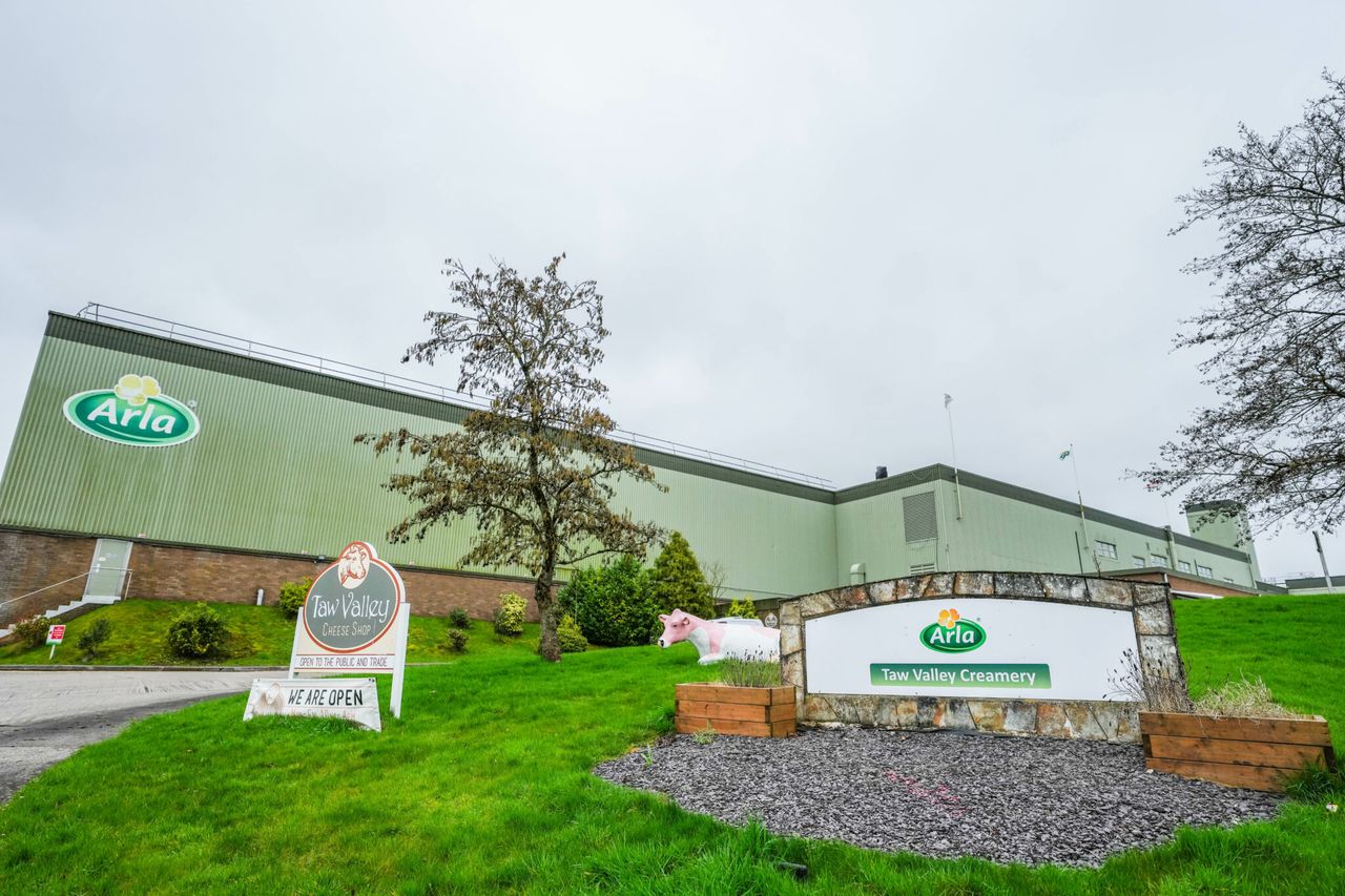 Arla Foods to offer mozzarella blocks at GDT events