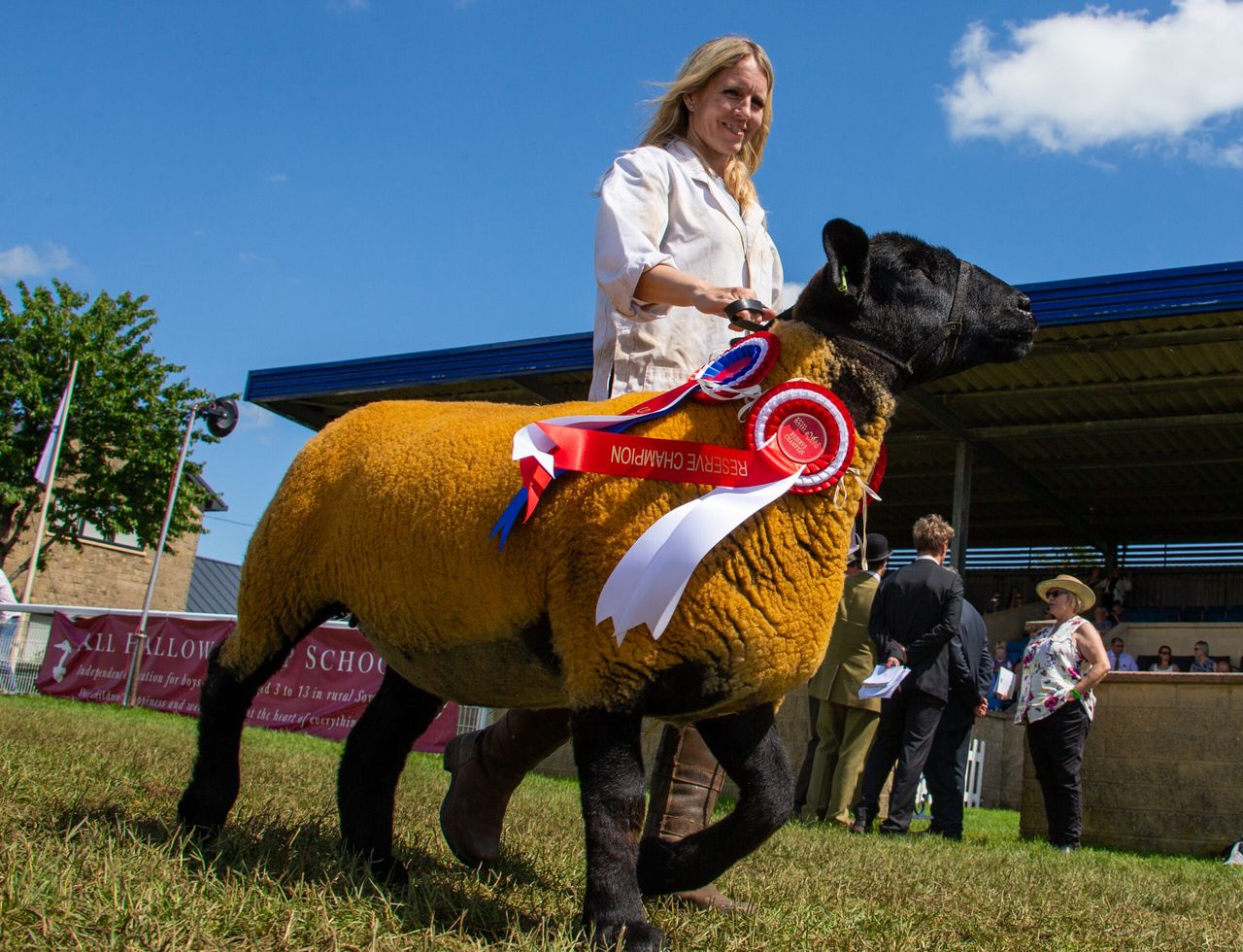 Entries 'flooding in' for Royal Bath & West show